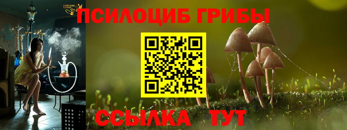 Унеча  Галлюциногенные грибы прущие грибы  Галлюциногенные грибы Magic Shrooms  Вход с VPN 
